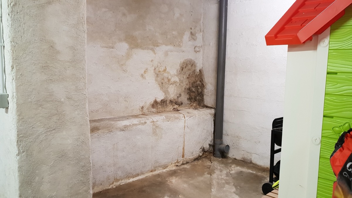 Infiltrations d'eau - Expertise humidité à Annecy